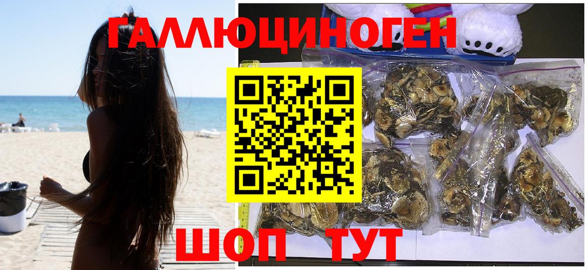 сколько стоит  Вход с VPN  Дзержинск  Галлюциногенные грибы мицелий 